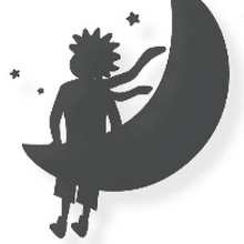 Strikingdash Contact