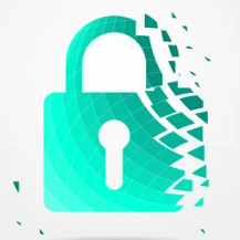 Strikingdash Contact