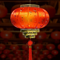 Strikingdash Contact